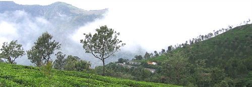 Deccan Plaza Hotel - Ooty Bagian luar foto